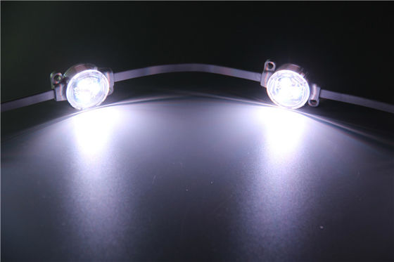 DMX Control RGB Full Color SMD5050 DC12V LED Point Light For Building