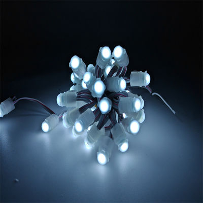 High quality outdoor IP67 waterproof Single Color 0.2W  Led DC 12V 9mm Led Pixel Light