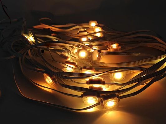 Module LED Eave Lights Changeable Color 12v Rgbw Controller Strip Led Pixel Light