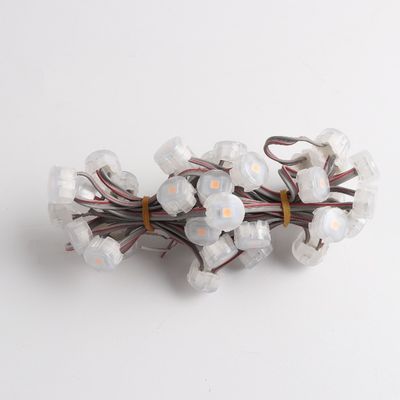 Miracle Bean 1W Epistar Chip 20mm RGB LED Point Light Waterproof Outdoor IP67 with PC Body