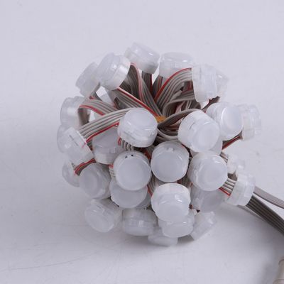 Christmas Color Monochrome Outdoor Decoration Lamp with 120 Degrees Beam Angle and IP67 Waterproof