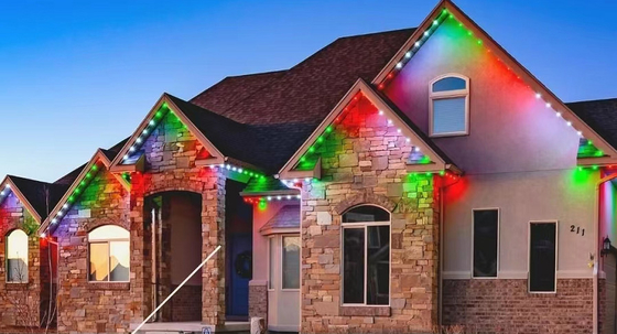 Pixel 20mm 30mm LED Noktasal Işık SMD5050 Sis Kabuğu RGB RGBW Yuvarlak LED Modülü