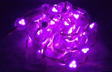 Kırmızı Yeşil Mavi Led RGB Pixel Renk Sıcaklığı DC12V 1W Peri Işık Perdesi