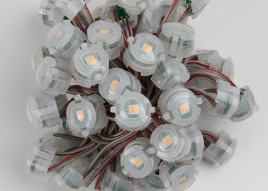 Açık DC12V 20mm SMD 5050 IP67 Led Pixel Noel Işıkları 2000mcd
