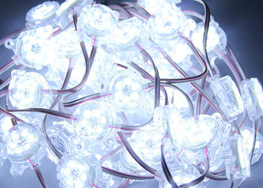 Beyaz RGB 30mm IP67 6 Chips LED Aydınlatma Kutusu için DC24V LED Pikseli LED