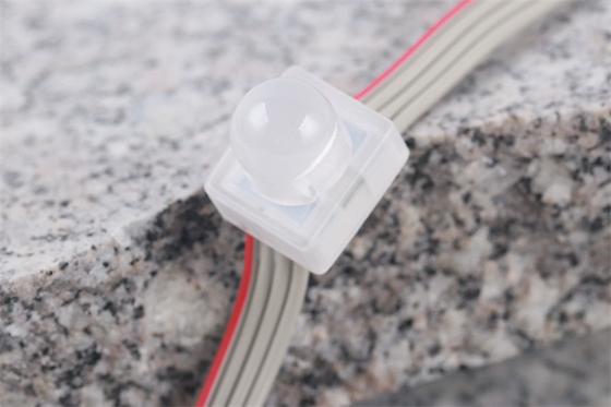 SMD5050 LED Piksel Işık IP67 DC12V 0.3W Tek Renk Su Geçirmez Mucize Fasulye