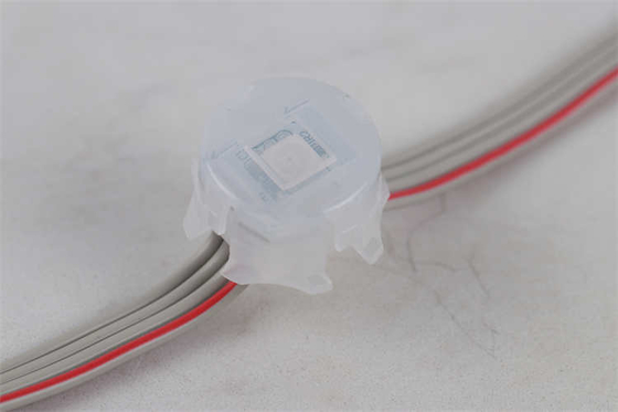 20MM Kalıcı Tatil Işığı 5050 Rgb Rgbw 1903 2904 Dmx512 IC Led Piksel Nokta Işığı