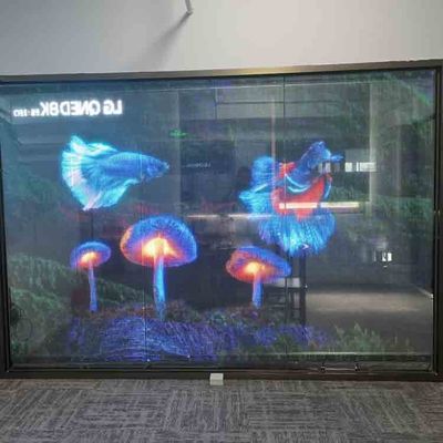 İç mekan Şeffaf LED Film Ekranı Tam Renkli Esnek Şeffaf LED Ekranı