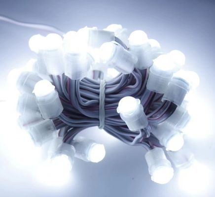Beyaz LED ışık dış mekan su geçirmez 50 LED DC 12V 9mm Led Pixel String Light