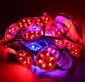 Dış Mekan 40mm 50mm SMD3535 DMX Dijital RGB Led Pixel IP67 Su Geçirmez