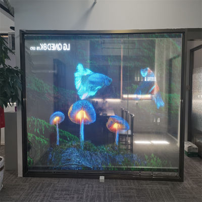 RGB Renkli P10 LED Şeffaf Film Ekranı İçerideki H Esnek LED Ekranı