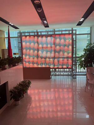 Yapışkan Esnek Film LED Ekran Yapışkan LED Şeffaf Film Ekran Cam için