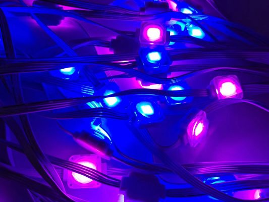 24V String Point Smart Eaves Lighting Holiday Ambilight 100ft RGBIC LED Permanent Eaves Light