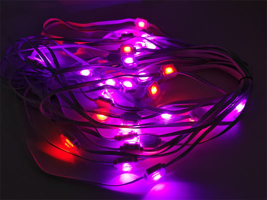 1.5w 12v colorful upgraded smart 25mm outdoor Christmas decorative string lights