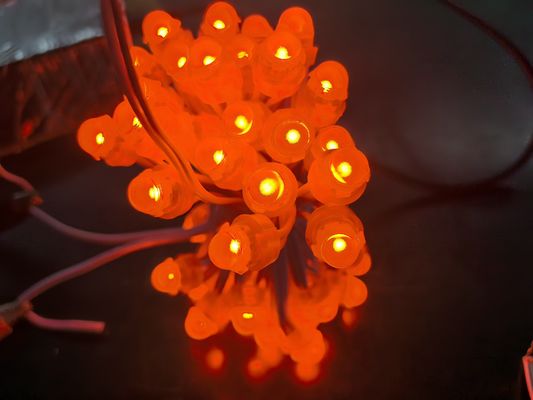 Akrilik LED Arkaplan RGBIC DC5V Jellyfish Dış Dekorasyon için Noel Işıkları