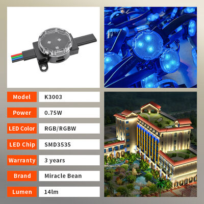Hot Product LED Intelligent RGBW Colorful Point Light Source Waterproof Eaves Lights Mobile Phone APP Voice Control IP67