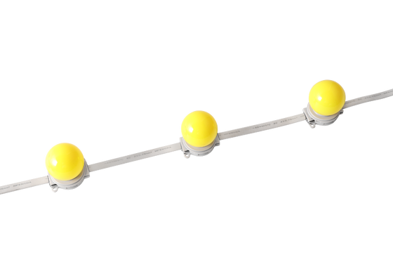 40mm IP67 Su geçirmez DC 24V LED Küre Işığı Dış Mimarlık Işığı