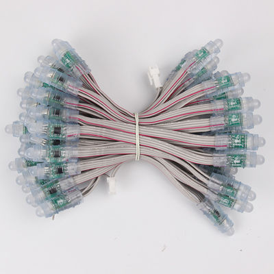 Mucize Fasulye 12mm Rgb BIS Sertifikası WS2811 1903 Led Piksel Işık RGB Su Geçirmez Led Dize 5V 12 V 50pcs