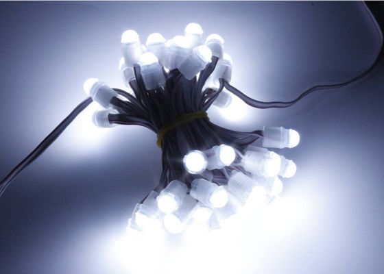 Mucize Fasulye 0.2w 16lm LED Nokta Piksel Işık 9mm 12v IP67